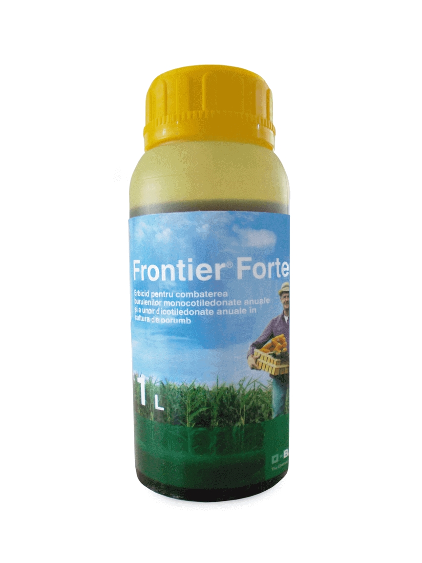FRONTIER FORTE
