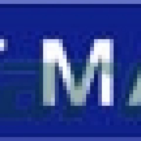 Flint Max 75 WG