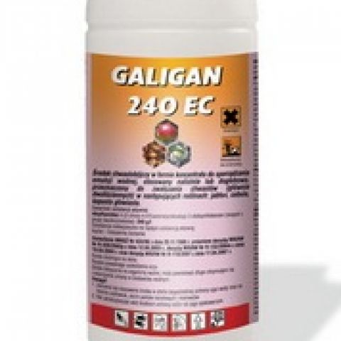 GALIGAN 240 EC